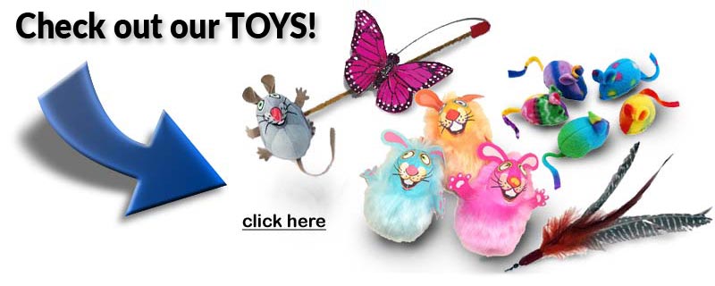 Check out our selection of toys too!