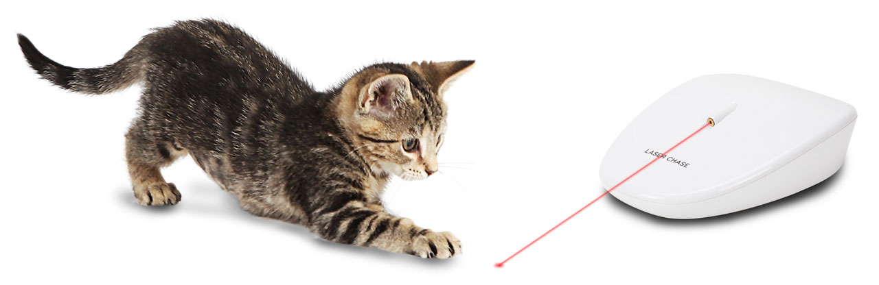 cat toys laser chase