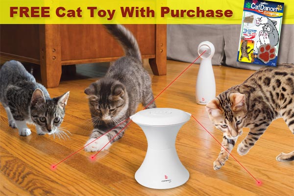 FREE Cat Dancer Toy with Automatic Cat Toy Purchase