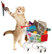 Shop for toys for your kitty