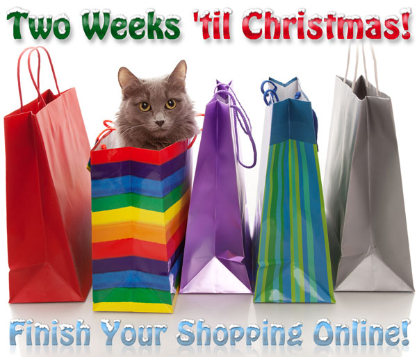 Two Weeks 'til Christmas! Finish Your Shopping Online!